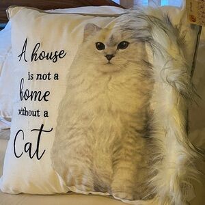 Cracker Barrel Cat Pillow